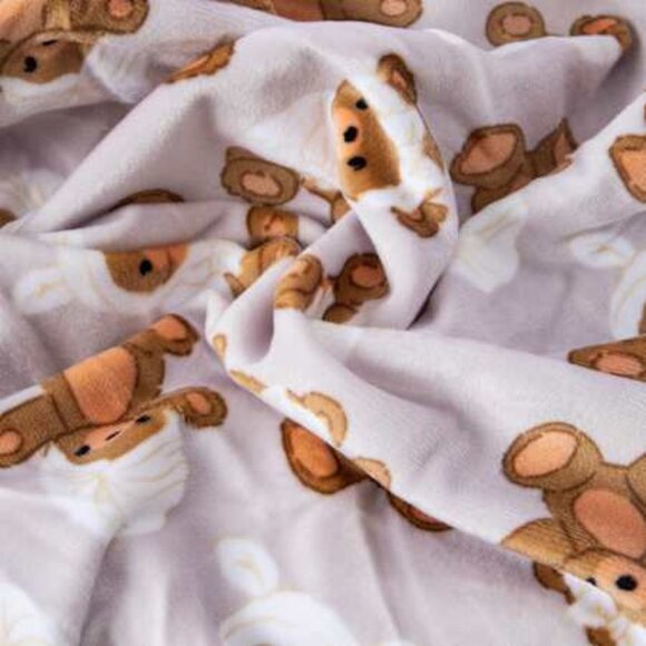 Teddy Bear Spa Day Two-Sided Plush Blanket 50in x 60in Brand new in Package - Picture 3 of 4